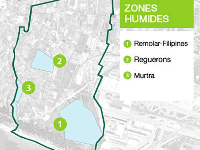 zones humides viladecans remolar murtra reguerons