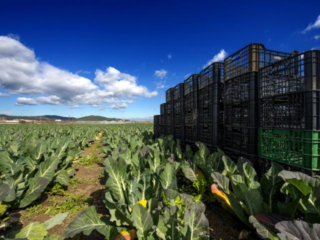 parc agrari pagesos viladecans