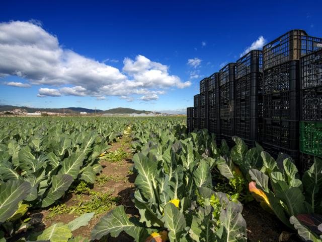 parc agrari quilometre 0 kilómetro cero viladecans baix llobregat