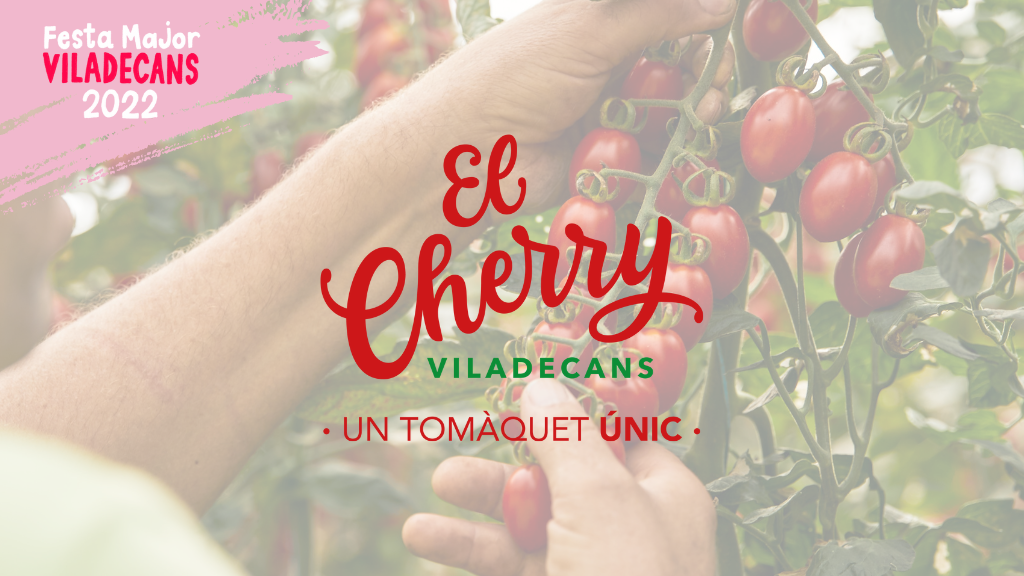 Presentació del tomàquet cherry de Viladecans a la Festa Major 2022