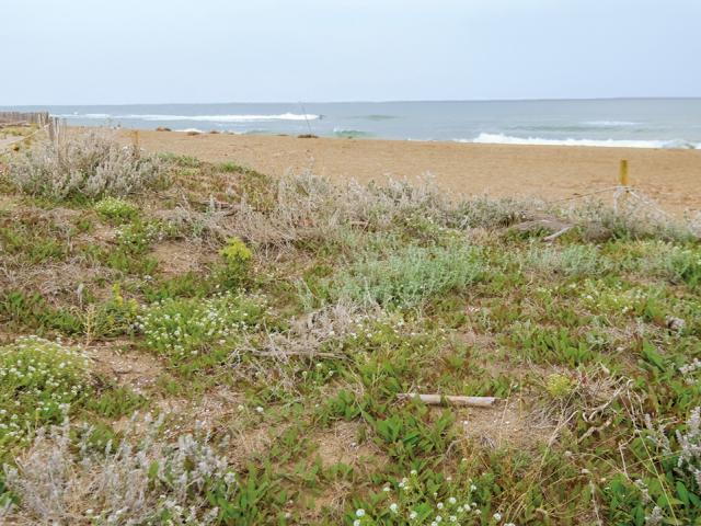 platja viladecans