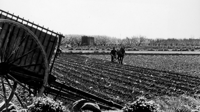 Pagesia i agricultura a Viladecans