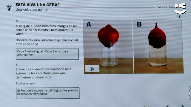 science_bits