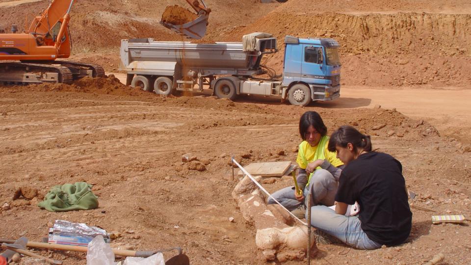 jaciment mamuts can tries viladecans paleontologia baix llonregat yacimiento