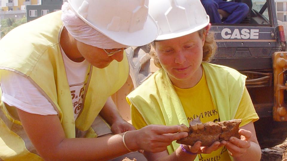 jaciment mamuts can tries viladecans paleontologia baix llonregat yacimiento