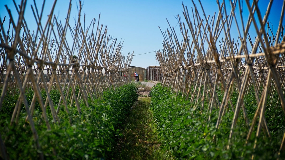 Parc Agrari de Viladecans